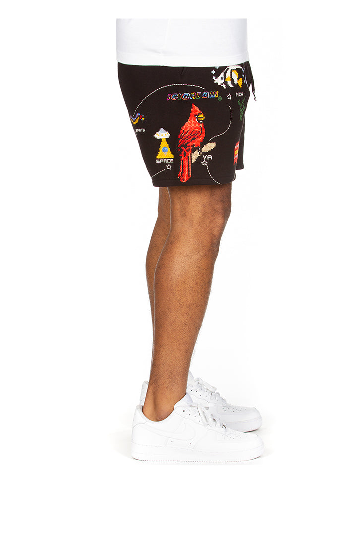 ICECREAM destination shorts - black